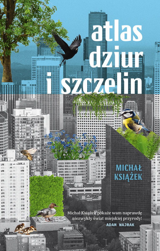 okładka Atlas dziur i szczelin ebook | epub, mobi | Michał Książek