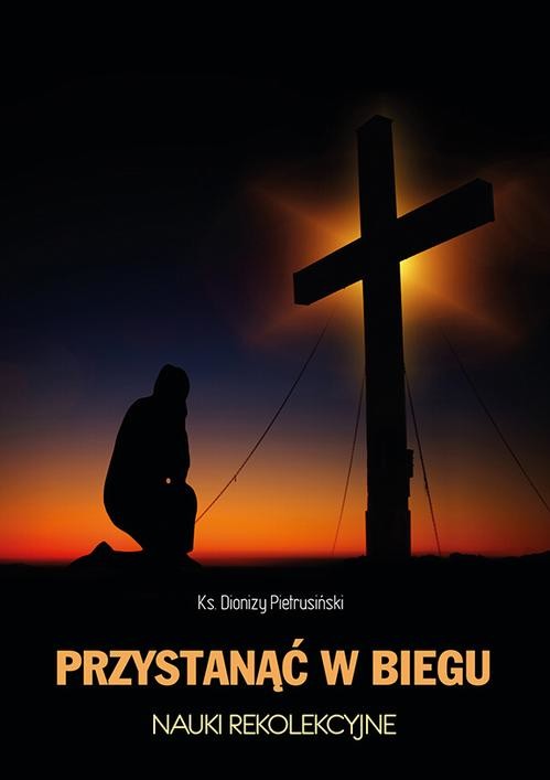 okładka Przystanąć w biegu ebook | epub, mobi | Dionizy Pietrusiński
