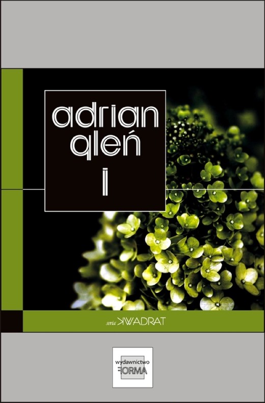 okładka I ebook | epub, mobi | Adrian Gleń