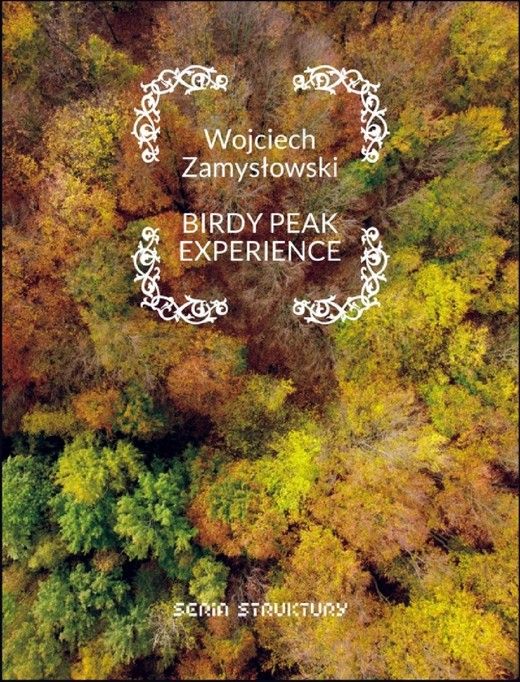 okładka Birdy peak experience ebook | pdf | Wojciech Zamysłowski