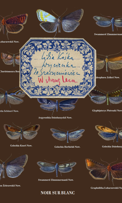 okładka Wycieczka do Szerszeniowiec ebook | epub, mobi | dr Lidia Kośka