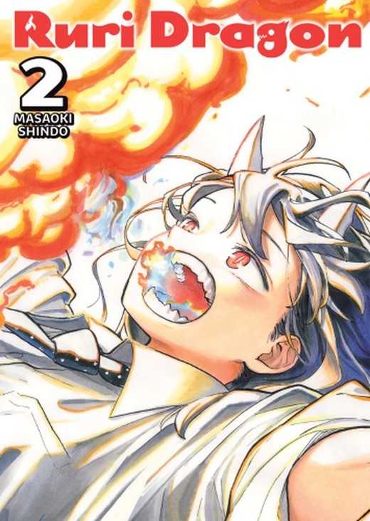 okładka RuriDragon. Tom 2 książka | Masaoki Shindou