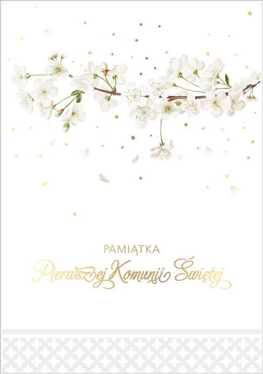 okładka Pamiątka Komunii PMB-0054 książka