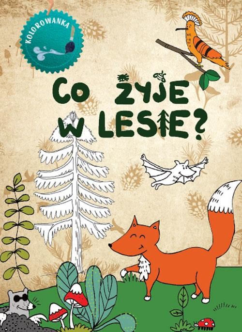 okładka Co żyje w lesie. Kolorowanka wyd. 2023 książka | Kinga Kulawiecka