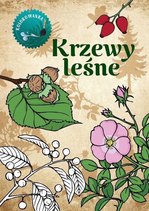 okładka Krzewy leśne. Kolorowanka książka | Kopiec-Sekieta Katarzyna
