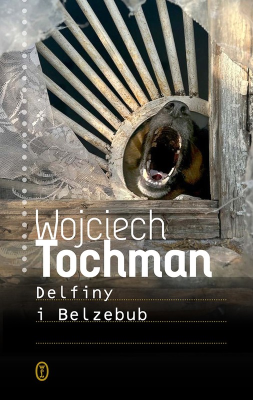 okładka Delfiny i Belzebub książka | Wojciech Tochman