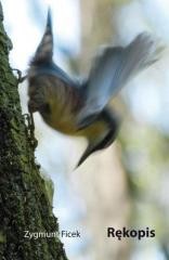 okładka Rękopis książka | Zygmunt Ficek