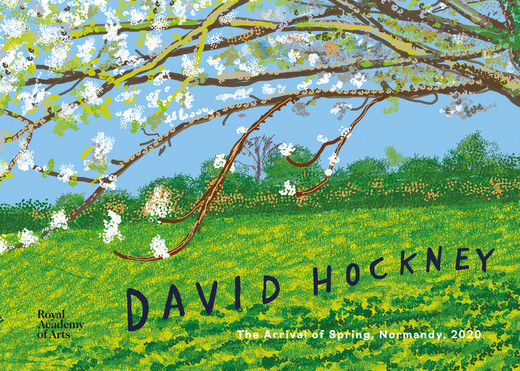 okładka David Hockney książka | Edith Devaney, David Hockney, William Boyd