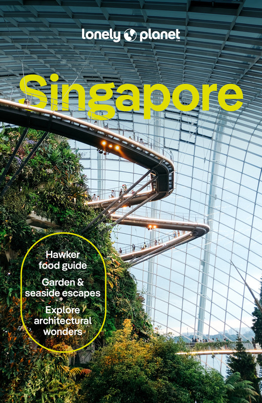okładka Singapore. Lonely planet książka | Ria deJong
