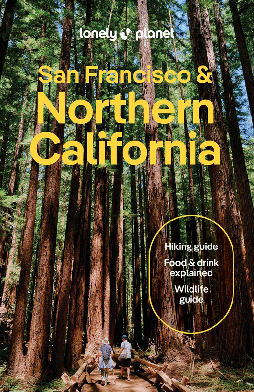 okładka San Francisco & Northern California. Lonely planet książka | Alison Bing, Averbuck Alexis, Celeste Brash