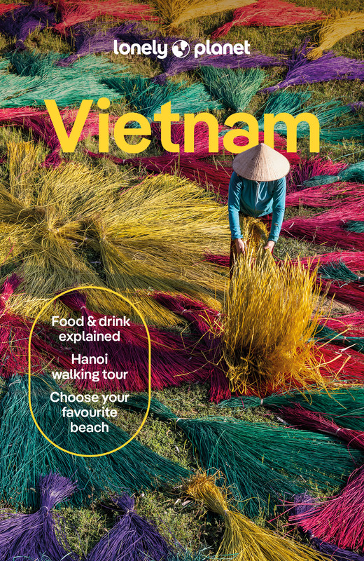 okładka Vietnam. Lonely planet książka | Ben Engelbach, Joshua Zukas, Karla Foronda