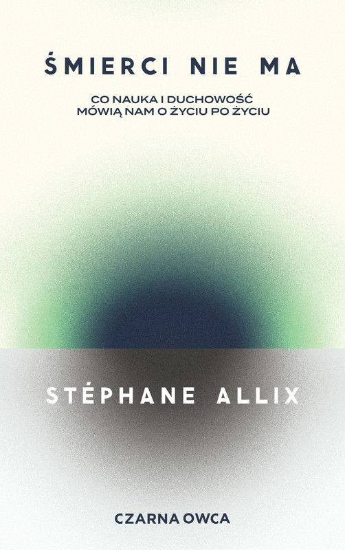 okładka Śmierci nie ma ebook | epub, mobi | Stéphane Allix