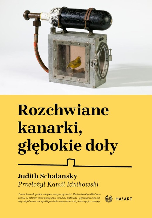 okładka Rozchwiane kanarki, głębokie doły ebook | epub, mobi | Judith Schalansky