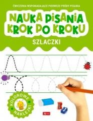 okładka Nauka pisania krok po kroku. Szlaczki książka | Praca Zbiorowa