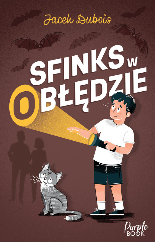 okładka Sfinks w (o)błędzie ebook | epub, mobi | JACEK DUBOIS