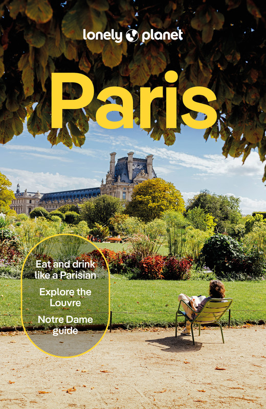 okładka Paris. Lonely Planet książka | Averbuck Alexis, Jean-Bernard Carillet, Mary WinstonNicklin