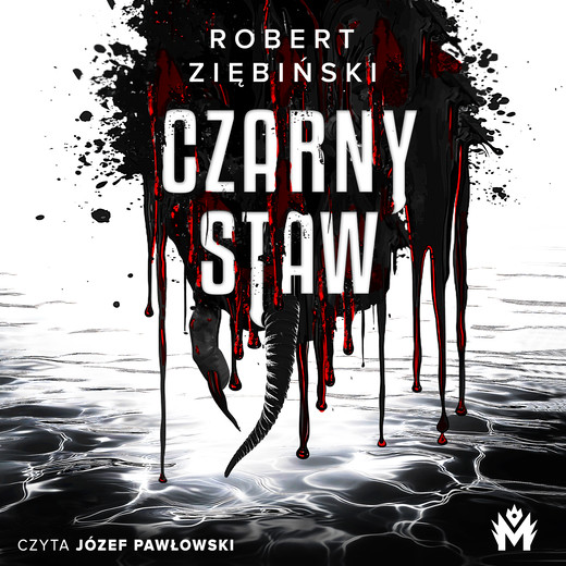 okładka Czarny Staw audiobook | MP3 | Robert Ziębiński