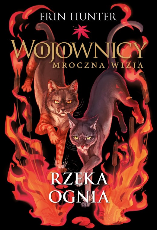 okładka Wojownicy Mroczna wizja. Rzeka ognia książka | Erin Hunter