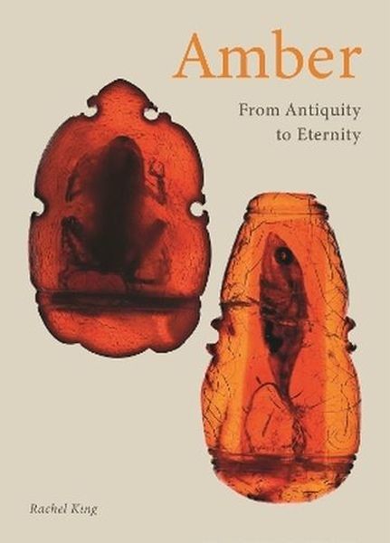 okładka Amber. From Antiquity to Eternity książka | Rachel King