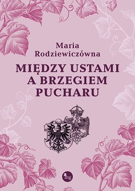 okładka Między ustami a brzegiem pucharu książka | Maria Rodziewiczówna