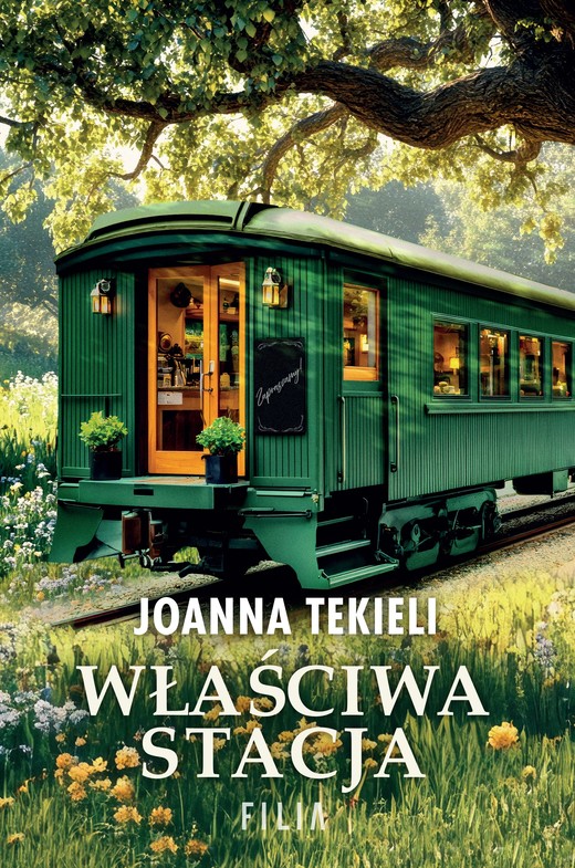 okładka Właściwa stacja książka | Joanna Tekieli