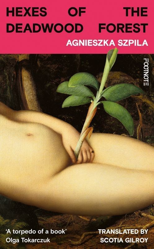 okładka Hexes of the Deadwood Forest książka | Agnieszka Szpila