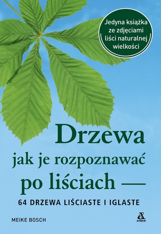 okładka Drzewa. Jak je rozpoznawać po liściach wyd. 2026 książka | Meike Bosch