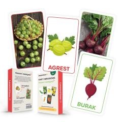 okładka Karty obrazkowe - Owoce i warzywa książka