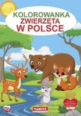 okładka Kolorowanka Zwierzęta w Polsce książka | Praca Zbiorowa