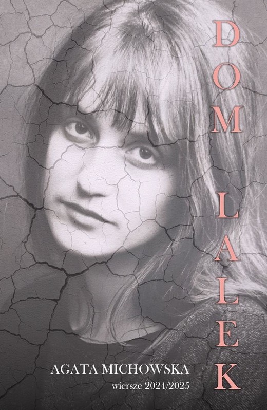 okładka Dom Lalek książka | Agata Michowska