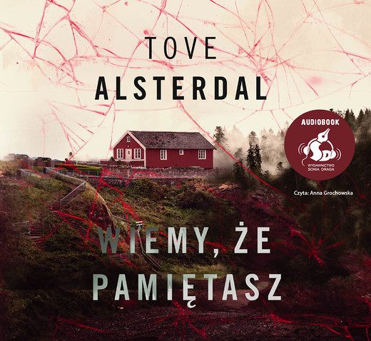 okładka Wiemy, że pamiętasz książka | Tove Alsterdal