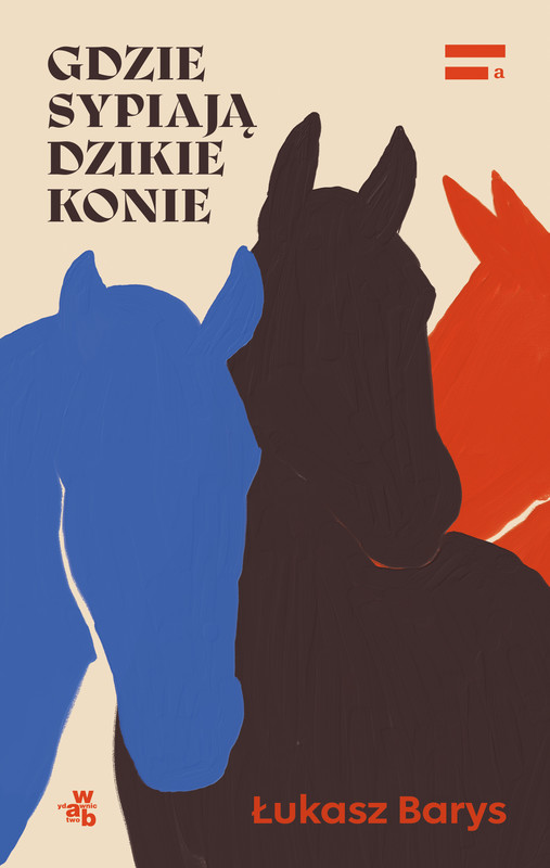 okładka Gdzie sypiają dzikie konie książka | Łukasz Barys