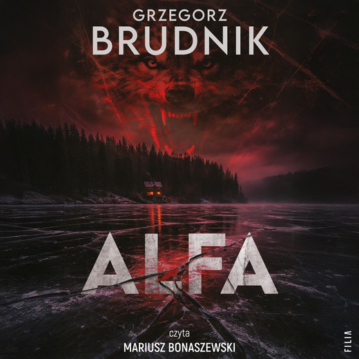 okładka Alfa audiobook | MP3 | Grzegorz Brudnik