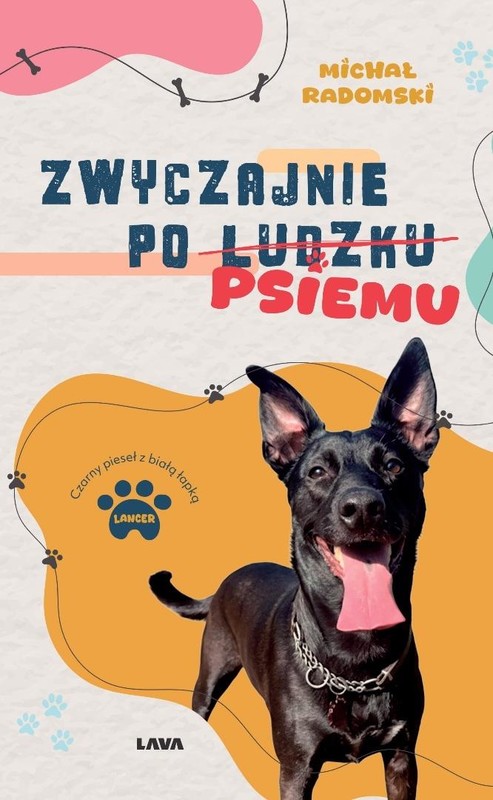 okładka Zwyczajnie po ludzku, psiemu książka | Magdalena Kalupa-Siemieniako, Radomski Michał