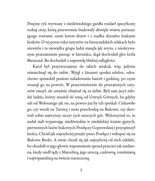 okładka Strzępy książka | Izabela Grabda
