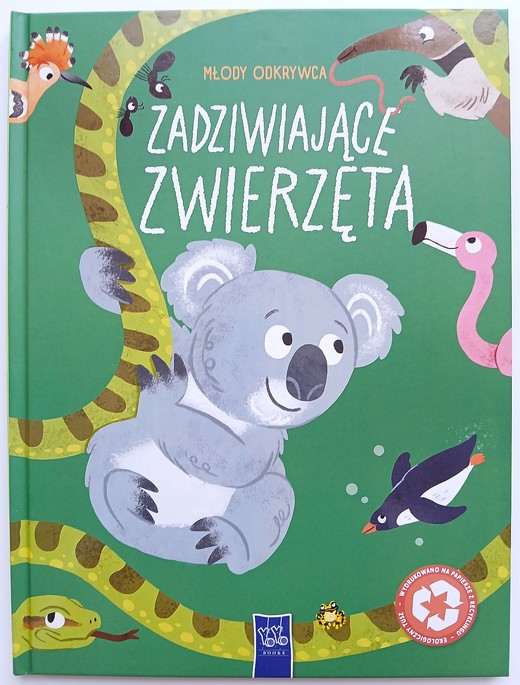 okładka Zadziwiające zwierzęta. Młody odkrywca książka | Opracowanie zbiorowe