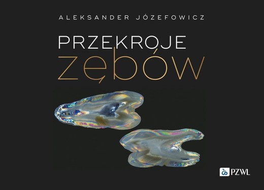 okładka Przekroje zębów książka | Aleksander Józefowicz