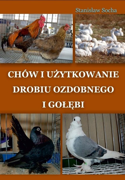 okładka Chów i użytkowanie drobiu ozdobnego i gołębi książka | Stanisław Socha