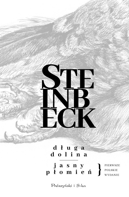 okładka Długa dolina. Jasny płomień ebook | epub, mobi | John Steinbeck