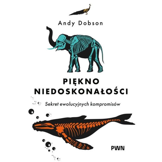 okładka Piękno niedoskonałości ebook | epub, mobi | Andy Dobson