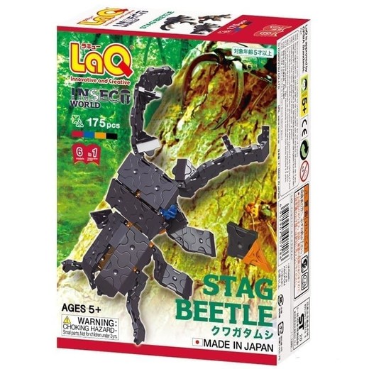 okładka Klocki edukacyjne Stag Beetle książka