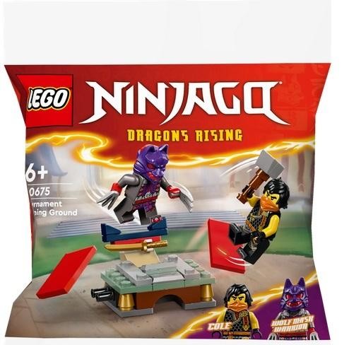 okładka LEGO(R) NINJAGO 30675 Turniejowy teren szkoleniowy książka