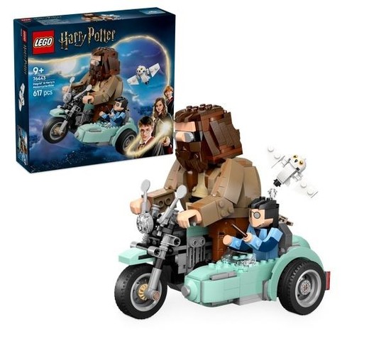 okładka LEGO(R) HARRY POTTER 76443 Przejażdżka motocyklowa książka