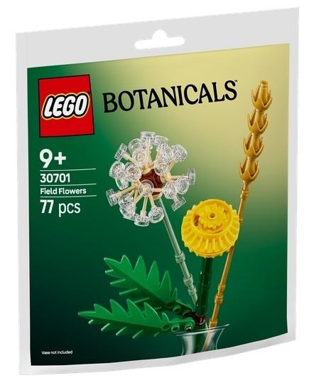 okładka LEGO(R) BOTANICALS 30701 Kwiaty polne książka