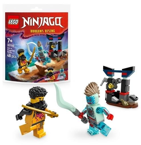 okładka LEGO(R) NINJAGO 30700 Bitwa Arina z Dragonem książka