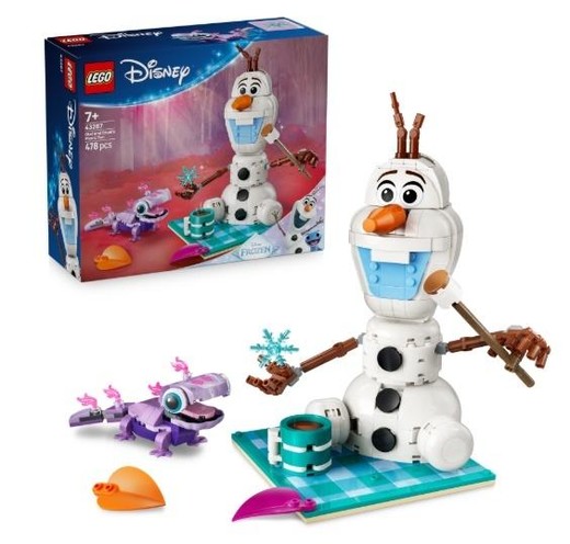 okładka LEGO(R) DISNEY PRINCESS 43287 Piknik Olafa i Brunieg książka