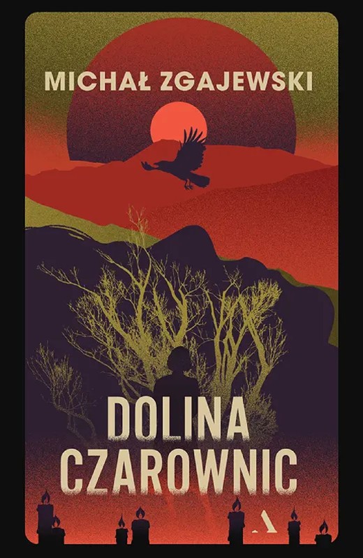 okładka Dolina czarownic ebook | epub, mobi | Michał Zgajewski