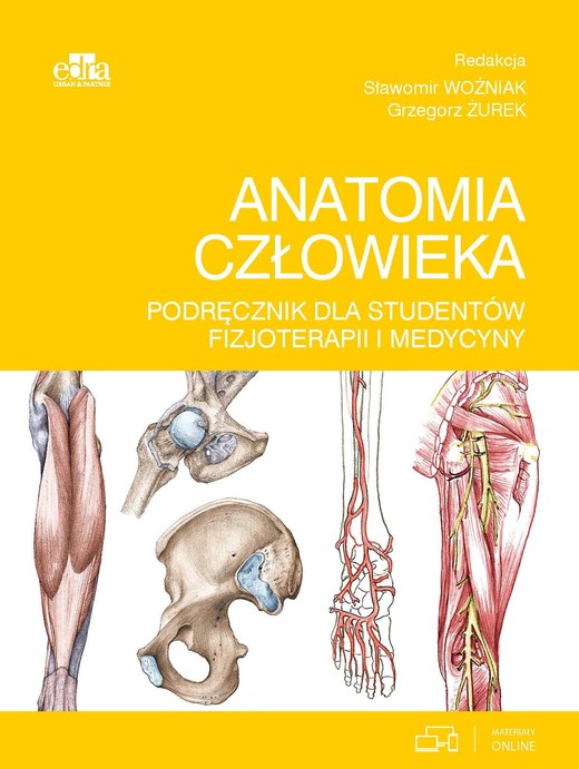 okładka Anatomia człowieka. Podręcznik dla studentów fizjoterapii i medycyny książka | Grzegorz Żurek, Woźniak Sławomir