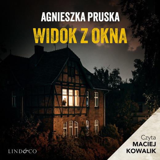 okładka Widok z okna. Tajemnica Willi (8) audiobook | MP3 | Agnieszka Pruska