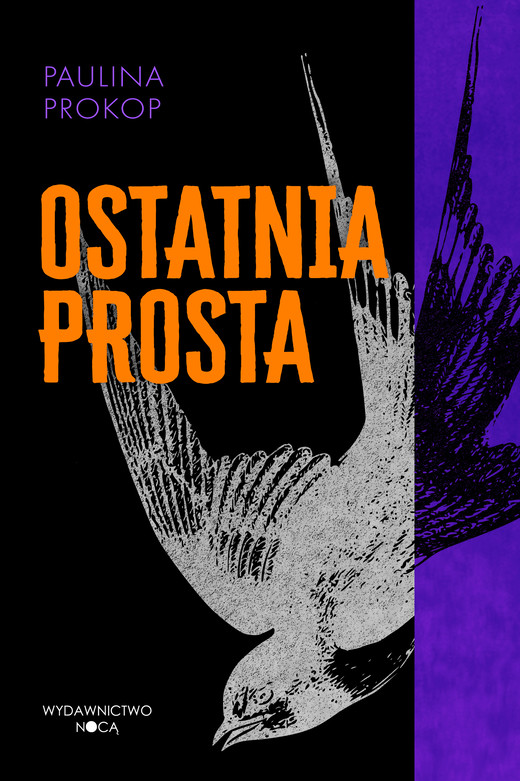 okładka Ostatnia prosta ebook | epub, mobi | Paulina Prokop